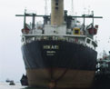 MT HIKARI